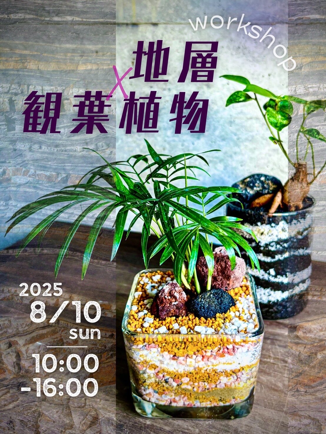 ニュース ［イベント・ワークショップ／名古屋］地層×観葉植物ワーク