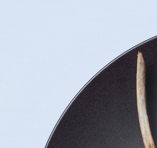 ノリタケカンパニーリミテド HR総合カタログ2022 ノリタケカンパニーリミテド HR総合カタログ2022